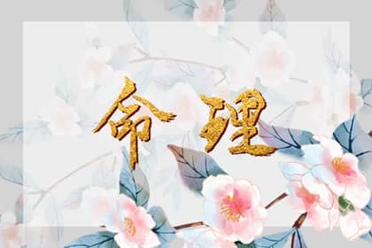 择吉老黄历|择吉日历|择吉皇历